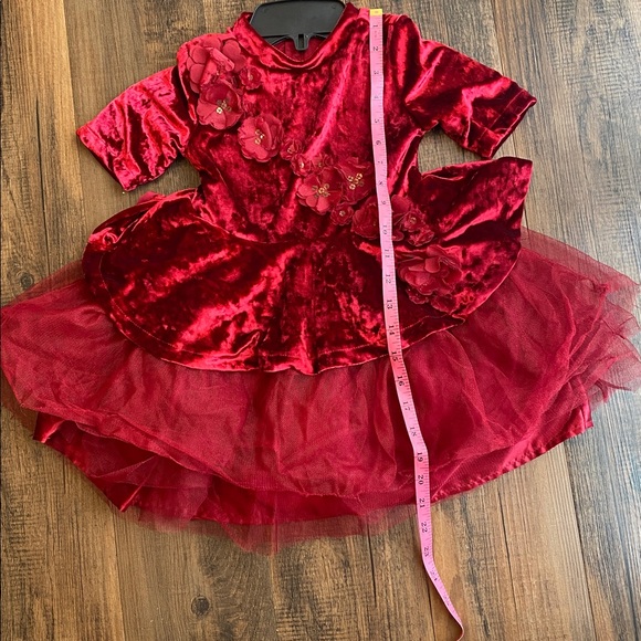 Disney belle Princess burgundy Velvet Dress - Picture 12 of 16